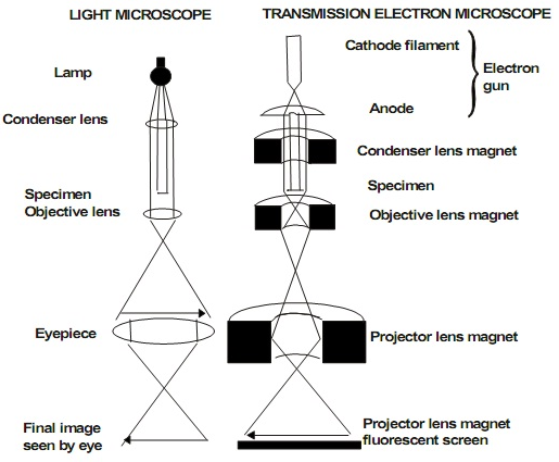 Resolution and magnification with an electron
